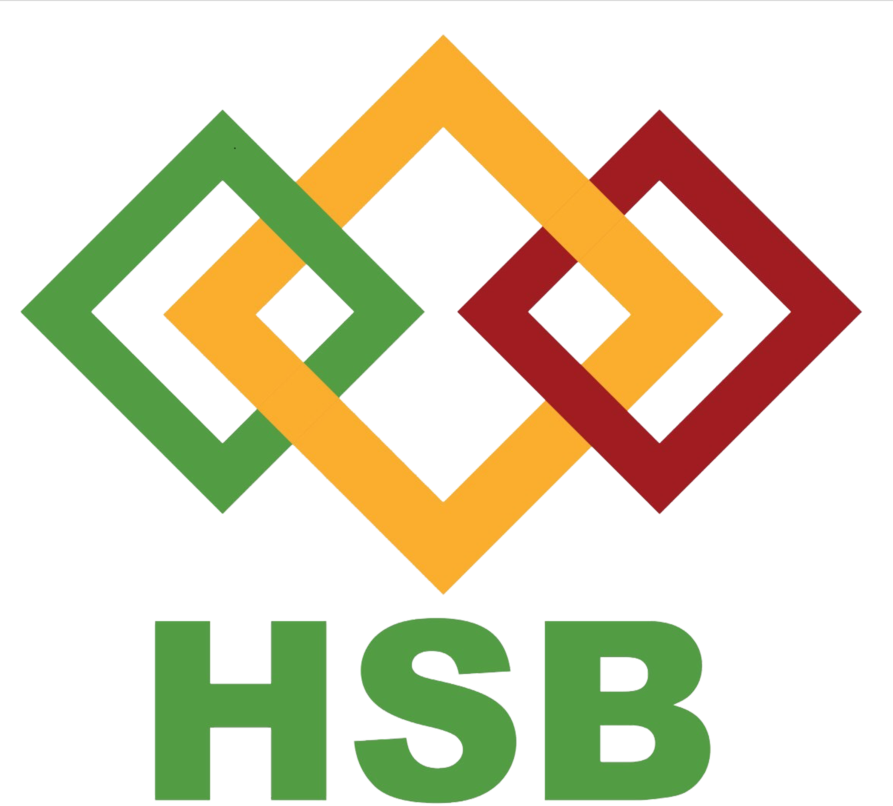 Partner logo 8