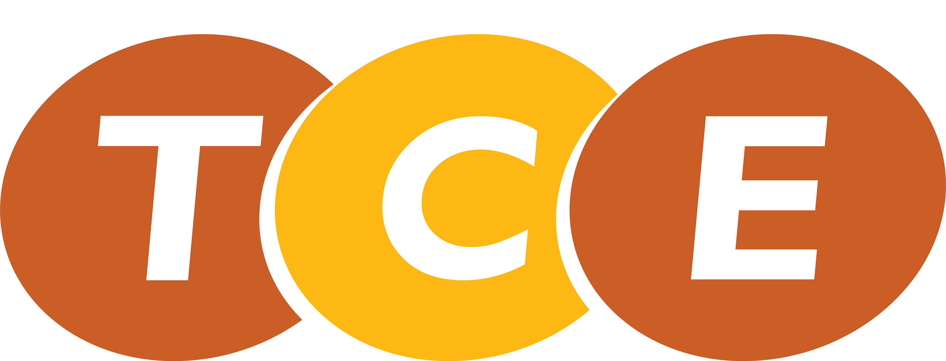 Partner logo 11